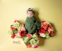 Nirmani newborn